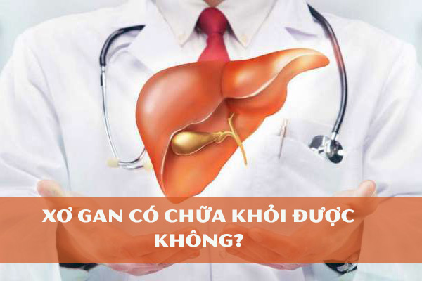 Khi nào cần phẫu thuật xơ gan?
