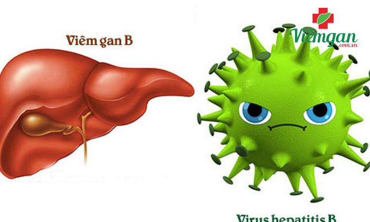 Nguyên nhân chính gây viêm gan B 1