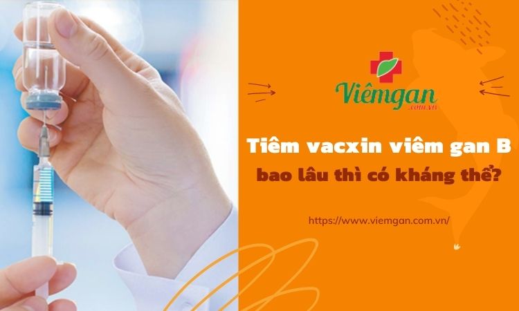 Tiêm Vacxin viêm gan b có sốt không, sau bao lâu thì có kháng thể? 1