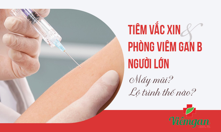 Tiêm Ngừa Viêm Gan B Cho Người Lớn Mấy Mũi, Chi Phí?