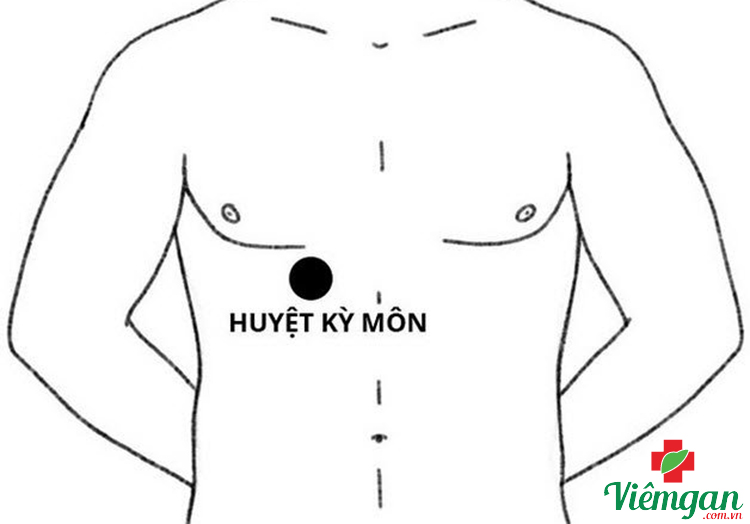 Huyệt Kỳ môn – Điều tiết hoạt động gan 1